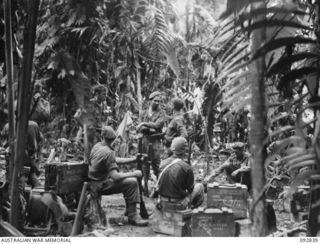 PORTON PLANTATION, SORAKEN AREA, BOUGAINVILLE, 1945-06-09. MEMBERS OF B COMPANY PATROL, 31/51 INFANTRY BATTALION, ASSEMBLED IN THE COMPANY'S FORWARD PERIMETER EAST OF BUOI PLANTATION, RATSUA AREA, ..