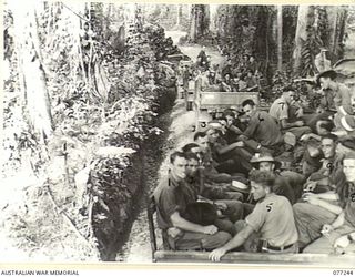 BOUGAINVILLE ISLAND. 1944-11-23. AMERICAN ARMY TRANSPORT LINED UP ON THE SAURAGE TRAIL, LOADED WITH MEMBERS OF THE 9TH INFANTRY BATTALION FOR MOVEMENT FROM THEIR CAMP AREA TO THE FRONT LINE WHERE ..