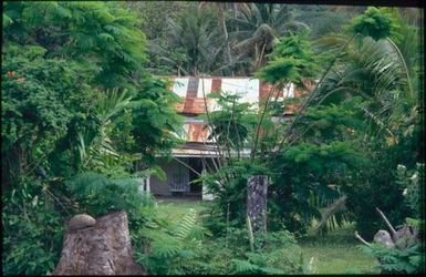 Corrugated iron roof seen through trees.