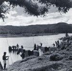 Students of the Theological school stretching a fish net in the river in Houailou