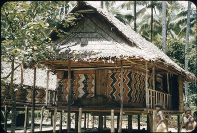 Lower Normanby, closer view of decorated house : Normanby Island, D'Entrecasteaux Islands, Papua New Guinea, 1956-1959 / Terence and Margaret Spencer