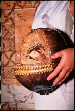 Carved coconut,Tonga