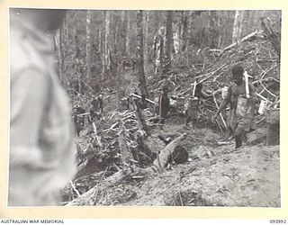 MOUNT SHIBURANGU, WEWAK, NEW GUINEA, 1945-07-12. AUSTRALIAN NEW GUINEA ADMINISTRATIVE UNIT NATIVE WATER CARRIERS CARRYING WATER TO TROOPS OF BATTALION HEADQUARTERS AND FOUR COMPANIES OF 2/8 ..