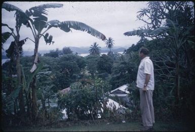 Looking from Julie Hansen's guest house, figure in foreground : Samarai, D'Entrecasteaux Islands, Papua New Guinea, June 1956 / Terence and Margaret Spencer