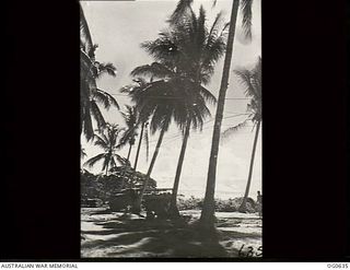 KIRIWINA, TROBRIAND ISLANDS, PAPUA. 1944-01-31. BEACH SCENE BETWEEN THE PALM TREES AT THE RAAF BATTLE STATION WHERE THE MEN FIND THEIR ONLY RESPITE FROM THE GRIME OF BATTLE IN SWIMMING AND BOATING