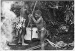 Pig festival, uprooting cordyline ritual, Tsembaga: men make bark oven for cooking pandanus and marsupials