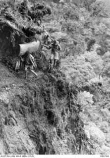 Natives carrying compressor parts, negotiate a narrow and dangerous ledge about a mile south of Eccleston's Gap. This ledge varies from 18" to 2 feet wide