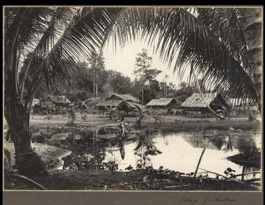 Village of Ambasi, [Papua New Guinea, 1]