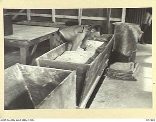 PORT MORESBY, NEW GUINEA. 1944-04-20. VX80790 PRIVATE G. THOMSON, ATTACHED FROM THE 13TH FIELD BAKERY, "KNOCKING" DOUGH IN A WOODEN TROUGH AT THE 6TH FIELD BAKING PLATOON