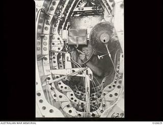 KIRIWINA, TROBRIAND ISLANDS, PAPUA. 1944-01-31. LEADING AIRCRAFTMAN G. H. CROFT OF WEST END, QLD, A FITTER, IN THE INTERIOR OF A SPITFIRE AIRCRAFT OF NO. 79 SQUADRON RAAF UNDERGOING MAJOR ..