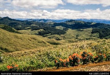 Okapa road - 11 miles to Orona (left of road)