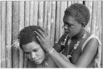 Geninaatoo delousing her sister-in-law Nanaua's hair