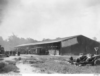 TOROKINA, BOUGAINVILLE ISLAND. 1944-12-04. A MEMBER OF THE 2/1ST CONSTRUCTION COMPANY, CLEARING JUNGLE UNDERBRUSH AWAY FROM THE AREA TO BE USED AS THE CAMP SITE OF THE 16TH ADVANCED ORDNANCE DEPOT