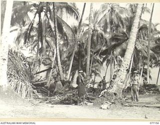 JACQUINOT BAY, NEW BRITAIN. 1944-11-20. TROOPS OF HEADQUARTERS, 5TH DIVISION AND NATIVES BURNING HUTS AND GENERALLY CLEARING UP THE AREA OCCUPIED BY MALMAL VILLAGE WHILE PREPARING THE SITE FOR THE ..