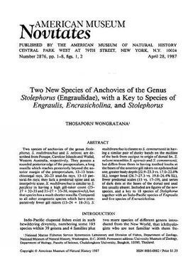 Two new species of anchovies of the genus Stolephorus (Engraulidae) : with a key to species of Engraulis, Encrasicholina, and Stolephorus