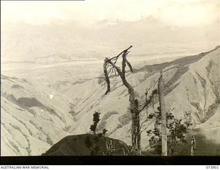 RAMU VALLEY, NEW GUINEA. 1944-06-18. THE VALLEY, AS SEEN BY A PATROL FROM 11TH DIVISION CARRIER COMPANY, ACCOMPANYING LIEUTENANT R. B. EWER, OFFICIAL WAR ARTIST, MILITARY HISTORY SECTION, MOVING ..