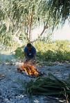 In the lotokie 'lit. within fine pandanus (Freycinetia)' 23-12-69.