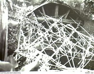 NEW BRITAIN, 1945-09. A CAMOUFLAGED AIR VENT FOR A JAPANESE BUNKER IN THE RABAUL AREA. (RNZAF OFFICIAL PHOTOGRAPH.)