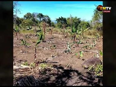EL NINO EFFECTS