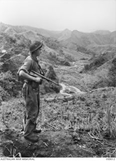 DUMPU, NEW GUINEA. 1943-10-15. SX17120 CORPORAL C. E. BRINE OF THE 2/27TH AUSTRALIAN INFANTRY BATTALION, LOOKING DOWN THE FARIA VALLEY FROM GUY'S POST AFTER THE TREVOR'S RIDGE ACTION