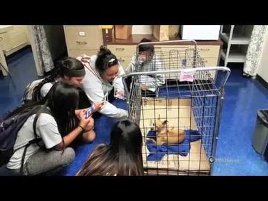 PBS Hawai‘i - HIKI NŌ Episode 719 | Aliamanu Middle School | Front Office