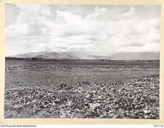 NADZAB, NEW GUINEA. 1945-09-14. PANORAMIC VIEW OF THE FARM OPERATED BY 8 INDEPENDENT FARM PLATOON WITH THE ASSISTANCE OF NATIVE LABOUR. (JOINS NO. 97129 & 97132.)