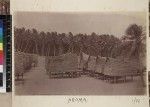 View of village houses, Aroma, Papua New Guinea, ca. 1890