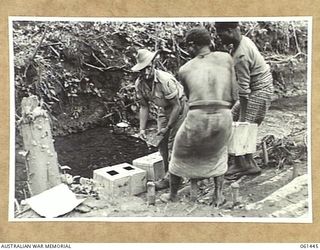 DUMPU, NEW GUINEA. 1943-12-06. VX56467 CORPORAL J. LAWSON OF THE 18TH AUSTRALIAN ANTI-MALARIAL CONTROL UNIT RELEASING FISH IN A STREAM. THESE FISH ARE THE AMERICAN TOP FEEDING MINNOWS (GAMBUSIA ..