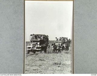 TOWNSVILLE, AUSTRALIA. 1942-11. "GUINEA PIGS" TAKING PART IN THE GAS SHELL DEMONSTRATION SHOOT BY THE 5TH FIELD REGIMENT, ROYAL AUSTRALIAN ARTILLERY, ARRIVING ON THE TARGET AREA