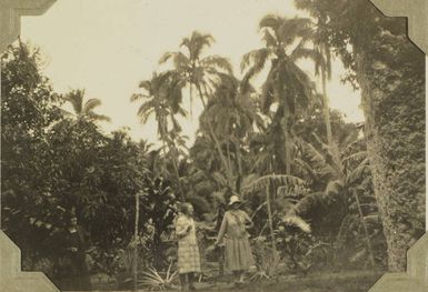 Miss Ramsey and Mrs Cameron at Kaloga?, Tonga, 1928