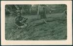 Three boys with a baby crocodile caught, one boy holds the mouth of the crocodile open, in the middle another boy (partially out of camera view) holds a rifle, the other boy (hands only showing) is holding down tail, Kavieng, New Ireland, New Guinea, Jul