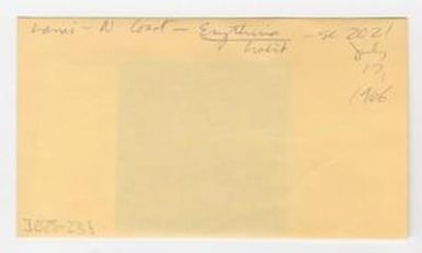 [Erythrina tahitensis in Hawaii, envelope IE25-233]