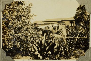 Western High Commission gardens, Suva, 1928