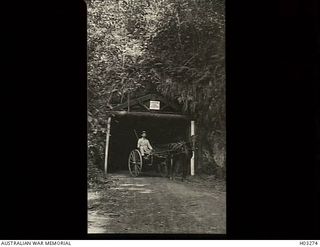 Rabaul, New Britain. c. 1915. A horse drawn sulky at the entrance to the Ratavul Tunnel which connected Rabaul to Talili Bay on the north coast