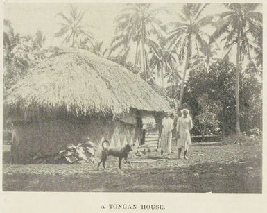 A Tongan house