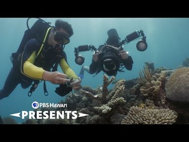 Infected Earth | PBS Hawaiʻi Panel Discussion