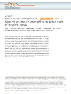 Massive yet grossly underestimated global costs of invasive insects