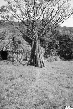 ["by, fotografi, photograph"]