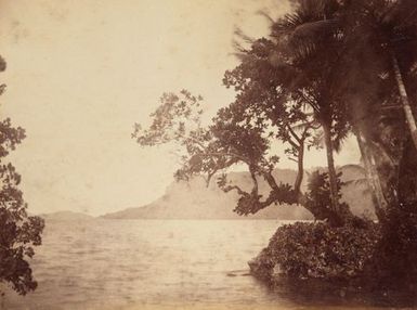 Pohnpei. From the album: Views in the Pacific Islands