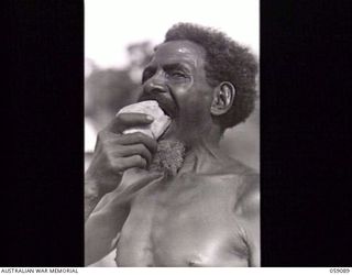 BUKAUA, NEW GUINEA. 1943-10-18. PORTRAIT OF TANANDU EATING A TARO ROOT, A VOLUNTEER FOR THE AUSTRALIAN AND NEW GUINEA ADMINISTRATION UNIT LABOUR FORCE. REJECTED BECAUSE OF AGE