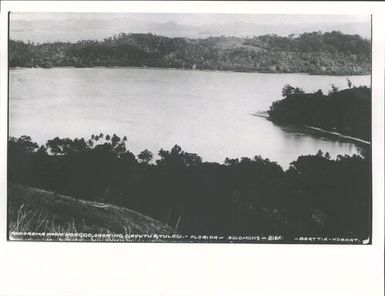 Panorama from Monggo showing Gavutu & Tulagi, Florida, Solomons
