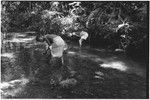 Ambaiat-Windebagu trail: carriers drink from stream