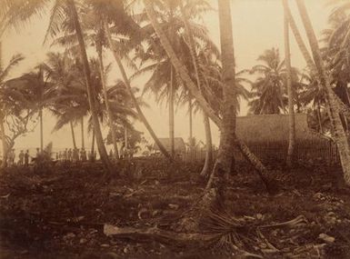 Namorik. From the album: Views in the Pacific Islands