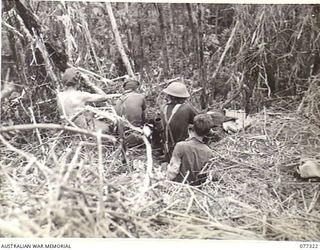 TOROKINA AREA, BOUGAINVILLE ISLAND. 1944-11-29. BREN GUNNERS OF NO.1 SECTION, NO.18 PLATOON, D COMPANY, 9TH INFANTRY BATTALION FIRING ON A CAMOUFLAGED JAPANESE PILLBOX 100 YARDS BELOW THE CREST OF ..