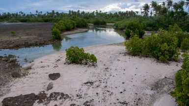 Tarawa return 1st