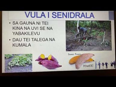 VULA I SENIDRALA SE VULA I KAWAKAWA: NA VULA VOU NA VULA O OKOSITA