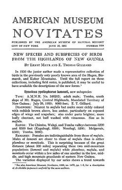 New species and subspecies of birds from the highlands of New Guinea