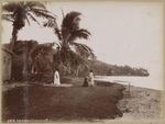 The beach, Ovalau, Fiji, approximately 1890 / Charles Kerry