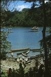 Canoes by the shore