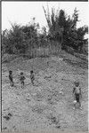 Pig festival, pig sacrifice, Tsembaga: framework of ritual fence, through which allies will be given pork, small children in foreground